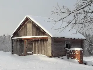 Склад для кормов, расположенный по адресу: Российская Федерация, Новгородская область, муниципальный округ Маловишерский, деревня Лука, улица Кленовая, здание 30, общей площадью 20,8 кв.м, с кадастровым номером 53:08:0114301:122, вид объекта: здание, назначение: нежилое В соответствии с Извещением…