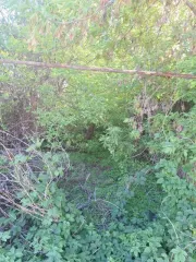 Жилой дом 17.5 м² и земельный участок 680 м², Тамбовская область, Жердевский район, город Жердевка, улица Свобода, дом 52. Назначение дома: жилое. Земельный участок для ведения личного подсобного хозяйства. Доля в праве общей долевой собственности на каждый объект составляет 1/2.