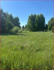 Земельный участок 600 кв.м в Нижегородской области, Городецкий район, Мошковский сельсовет, СНТ "Березка". Кадастровый номер: 52:15:0120401:388. Категория земель: сельскохозяйственного назначения. Вид разрешенного использования: садоводство.