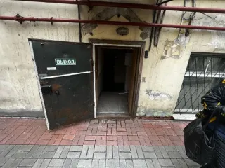 Нежилое помещение 76.4 кв.м, Санкт-Петербург, улица Константина Заслонова, д. 17, литера А, пом. 2-Н. Назначение: нежилое, этаж: цокольный, кадастровый номер 78:31:0001697:2495. Право собственности подтверждается записью в ЕГРН от 28.03.2001 № 78-01-59/2001-476.1.