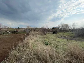 Жилое помещение площадью 37,5 кв.м., кадастровый номер 56:21:2901001:1160; земельный участок, вид разрешенного использования: для ведения личного подсобного хозяйства площадью 1 071+/- 23 кв.м., кадастровый номер 56:21:2901003:380. Местонахождение: Оренбургская область, Оренбургский район, п…
