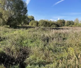 Аренда земельного участка 101009 кв.м Ярославская область право заключения договора аренды земельного участка, расположенного по адресу: Ярославская область, р-н Переславский, с/о Загорьевский, возле с. Загорье, кадастровый номер 76:11:083104:492 право заключения договора аренды на срок 5 лет…