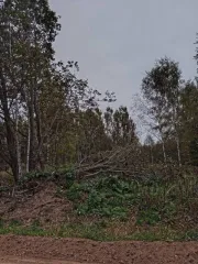 Дом 56,1 кв.м. и земельный участок 3000 кв.м. в Новгородской обл., здание 56,1 кв.м. Кадастровый номер: 53:09:0054201:32, назначение объекта: Жилое, площадь: 56,1 м2, вид права: Собственность, адрес: 175350, Новгородская область, р-н Марёвский, с/п Марёвское, д Малое Дёмкино, ул Народная, д 17…