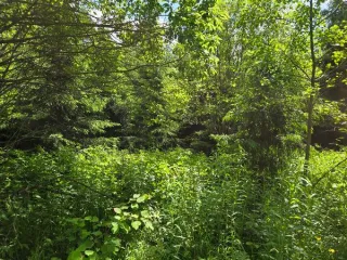 Земельный участок, 988 кв. м, Москва, пос. Круги, Бекасово, адресный ориентир: город Москва, внутригородская территория муниципальный округ Бекасово, поселок Круги, земельный участок 18/1 общей площадью 988 кв. м с кадастровым номером 77:21:0150702:345, кадастровый номер: 77:21:0150702:345…
