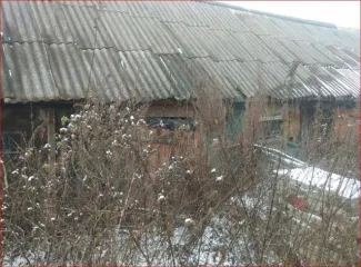 Дом 69,7 кв.м. и участок 4100 кв.м., Пензенская область. Жилое здание, площадь: 69,7кв.м., кадастровый номер: 58:08:0600401:162 и земельный участок, площадь: 4 100кв.м., категория земель: Земли населенных пунктов, разрешенное использование: Для ведения личного подсобного хозяйства, кадастровый…