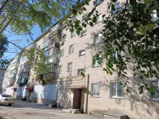 38/50 доли квартиры, 57.3 м², Новосибирская область. Жилое помещение (кадастровый номер: 54:34:012401:1229, местоположение: Новосибирская область, г. Куйбышев, кв-л. 11-й, д. 21, кв. 53, площадь:57.3), принадлежащее должнику на праве общей долевой собственности, доля в праве 38/50. Сособственниками…