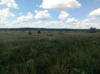 Земельный участок из земель сельскохозяйственного назначения для сельскохозяйственного производства, расположенного по адресу: Ростовская область, Чертковский район, в границах кадастрового квартала 61:42:600017, кадастровый номер 61:42:0600017:473, площадь 264968 кв.м. На участок зарегистрировано…