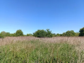 Земельный участок 92 435 кв. м, жилая застройка, Зеленоградский р-н, Калининградская обл. Кадастровый номер 39:05:030511:8, земли населенных пунктов - жилая застройка.
