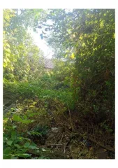 Два дома 52 м² и участки 1000 м² в Воронежской области. Земельный участок, общей площадью 1000 м2, кадастровый (условный) номер: 36:02:3600044:79. Жилой дом, площадью 52 м2, кадастровый (условный) номер: 36:02:3600044:122, расположенные по адресу: Воронежская область, Бобровский р-н, с. Хреновое…