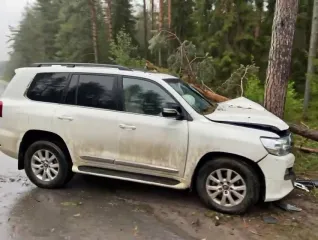 Toyota Land Cruiser 2018, автомобиль марки TOYOTA модель LAND CRUISER 2018 г.в. VIN-номер JTMCV02J8042677867. С документами на имущество, являющимся предметом торгов, можно ознакомиться, направив запрос по адресу: kobzeva.elena.128@mail.ru. Осмотр автомобиля по предварительной договоренности с…
