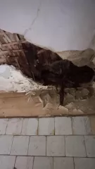 Жилое помещение: комната на 1 этаже по адресу: Россия, Краснодарский край, г. Краснодар, Насыпной переулок, д. 4, пом. 1,3,4,5,6, кадастровый номер: 23:43:0305045:493, площадь 40,9 кв.м. Лот №1 Лот №1 Лот №1 Жилое помещение: комната на 1 этаже по адресу: Россия, Краснодарский край, г. Краснодар…