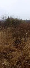 Земельный участок, 800 м², Серов, Свердловская область для возделывания сельхоз культур. Кадастровый номер: 66:61:0224005:17. Местоположение: Свердловская область, г. Серов, кол.сад госучреждений. Площадь: 800.