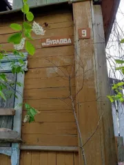 Земельный участок, категория земель: земли населенных пунктов, разрешенное использование: для ведения личного подсобного хозяйства, общая площадь 3 200 кв.м., адрес объекта: Иркутская обл., Братский р-н, с. Большеокинское, ул. Бурлова, 9, кадастровый номер: 38:02:140101:407