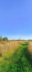 Земельный участок 1647 кв. м, Владимирская область Земельный участок в селе Гатиха, ул. Новая Земельный участок, предназначенный для передачи гражданам для ведения личного подсобного хозяйства (приусадебный земельный участок) в аренду сроком на 20 лет из земель населенных пунктов, площадью 1647 кв…