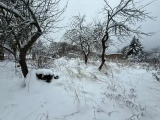 Жилой дом 75,9 кв.м, кадастровый № 53:02:0010301:153, адрес: Российская Федерация, Новгородская область, муниципальный район Боровичский, сельское поселение Волокское, деревня Елигово, дом 67, площадь: 75,9 кв.м. Земельный участок кадастровый № 53:02:0010301:72, адрес: Новгородская область, р-н…