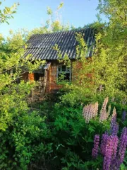 Земельный участок 400 кв.м, сельскохозяйственного назначения, Респ Мордовия, 1/2 доля в праве общей долевой собственности на земельный участок, площадь 400 кв.м., назначение: земли сельскохозяйственного назначения, адрес (местонахождение): Россия, Респ Мордовия, г Саранск, с/т "Медик", кадастровый…