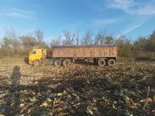 Камаз 53229 2007 года. VIN X6S58147C70003579, гос. номер О215ХС55. Местоположение: Омская область, село Благодаровка, ул. Центральная, дом 24. Состояние: Удовлетворительное (Бывшее в эксплуатации оборудование, требующее некоторого текущего ремонта или замены мелких отдельных частей).