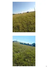 Доля в праве на дом, 1/5, Башкортостан, Мечетлинский район, с/с Дуван-Мечетлинский, д. Еланыш, ул. Школьная, д. 2а.