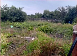 Земельный участок 400 кв.м, Самарская область, Безенчукский район, южнее п. Безенчук, категория земель: Земли сельскохозяйственного назначения, разрешенное использование: Для садоводства, кадастровый номер: 63:12:1303006:1084