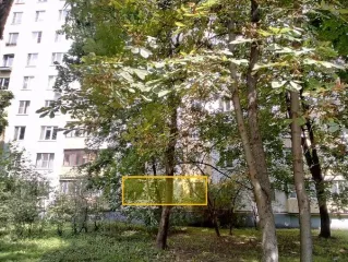 Квартира, 44.4 кв. М, г. Москва, жилое помещение по адресу: г. Москва, ул. Красный Казанец, д. 3, к. 2, кв. 39, общей площадью 44,4 кв. М, (Этаж № 1), кадастровый номер: 77:03:0007003:2069. Вид жилого помещения: Жилое. Общая площадь: 44.4.