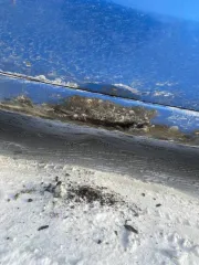 Nissan Note 2009 года, 109 л.с., пробег 191232 км. Цвет синий. Модель двигателя HR15 №130282В. Кузов №E11-366740. VIN и номер шасси отсутствуют. Государственный регистрационный знак Р105ЕС138.