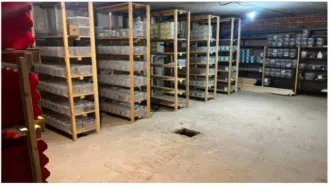 Помещение нежилое площадью 261.6 кв.м, кадастровый номер 53:23:8123211:433, расположенное по адресу: 173018, г. Великий Новгород, проспект А. Корсунова, дом 38, корпус 7. Доступ в помещение отсутствует, ключи не переданы.