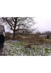 Доли дома и участка, 37 кв.м, Ставропольский край. 1/5 доля дома и 1/5 доля земельного участка, еще 1/5 доля дома и 1/5 доля земельного участка, еще 1/5 доля в праве на жилое здание, площадь: 37 кв.м., кадастровый номер: 26:35:110909:152 и 1/5 доля в праве на земельный участок, площадь: 1 310…