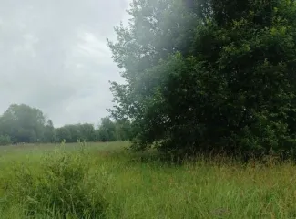 Земельный участок 2052 м², кадастровый номер 50:18:0070311:786, Московская область, основной вид разрешенного использования 2.2.