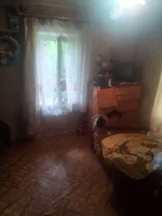 1/3 доля в праве на жилое здание площадью 34,6 кв.м, кадастровый номер 60:23:0010320:41. 1/3 доля в праве на земельный участок площадью 1235,6 кв.м, категория земель - земли населенных пунктов, разрешенное использование - для ведения личного подсобного хозяйства, кадастровый номер 60:23:0010321:2…