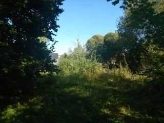 Земельный участок площадью 1135 кв.м, расположенный по адресу: Российская Федерация, Санкт-Петербург, внутригородское муниципальное образование города федерального значения Санкт-Петербурга муниципальный округ Константиновское, территория Сергиево, улица Карла Маркса, земельный участок 2…