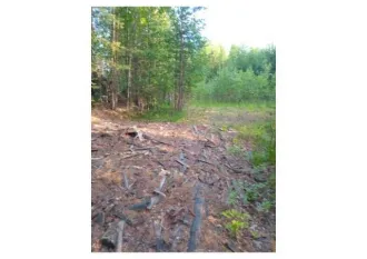 Земельный участок 1450 кв.м, ХМАО-Югра, г. Югорск. Земельный участок в ХМАО-Югра, 1450 кв.м. Еще земельный участок в ХМАО-Югра, 1450 кв.м. Площадь: 1 450 кв.м., адрес (местонахождение): Ханты-Мансийский автономный округ - Югра, г. Югорск, ул. Малиновая, категория земель: земли сельскохозяйственного…