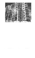 Квартира 66.3 кв.м Лангепас, г. Лангепас, ул. Парковая, д.11, кв.98. Кадастровый номер: 86:16:0000000:2909. Информация о зарегистрированных лицах отсутствует, задолженность за кап. ремонт на 01.10.2025 – 43 т.р. Вид ограничений и обременений: Залог, запрет ФССП.