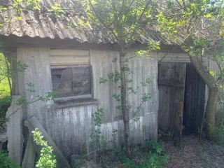 Квартира 44,6 кв.м. и участок 1120 кв.м., Курская область. Квартира 44,6 кв.м. и земельный участок 1120 кв.м. в Курской обл. Ещё квартира 44,6 кв.м. и земельный участок 1120 кв.м. в Курской обл. Ещё 1. Квартира, площадь: 44,6 кв.м., назначение: жилое, этаж: 1, адрес (местонахождение): Курская…