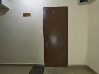 Жилое помещение 19,2 кв. м, Москва, по адресу: г. Москва, ул. Трофимова, д. 9, кв. 91, ком. 2, площадью 19,2 кв. м (этаж № 7), кадастровый номер: 77:05:0002006:7620. Вид жилого помещения: Жилое. Общая площадь: 19.2.