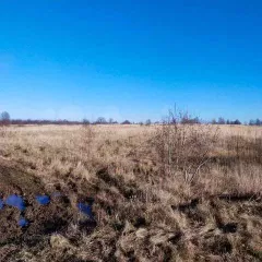 Земельный участок, кадастровый номер: 69:27:0000027:624, общей площадью 220 104,0 кв.м., расположенный по адресу: Тверская обл, р-н Ржевский, с/п «Чертолино», д.Свербиха