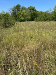 Имущественный комплекс 271.5 кв.м и земельный участок 26471 кв.м, Белгородская область, Шебекинский район, п. Поляна, в границах земель ЗАО «Донец». В составе: нежилое здание площадью 271,5 кв. м. (КН 31:17:0101001:677) и земельный участок площадью 26471 кв.м. (КН 31:17:0103011:13).