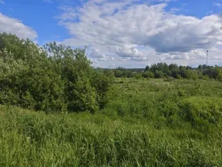 Земельный участок 1070 кв.м, ИЖС, д. Посевьево, Московская область. Граждане, заинтересованные в предоставлении земельного участка площадью 1070 кв.м для индивидуального жилищного строительства, расположенного в д. Посевьево Сергиево-Посадского городского округа Московской области, вправе подать…