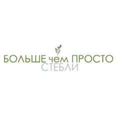 Товарный знак №998096, действует до 02.08.2033, исключительное право на товарный знак №998096, комбинированный знак, дата истечения срока действия исключительного права: 02.08.2033.