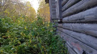 Земельный участок площадью 4700 кв.м. Кадастровый номер: 33:11:110503:34. Виды разрешенного использования: личное подсобное хозяйство. Адрес: Владимирская область, Судогодский район, сельское поселение Андреевское, деревня Мостищи, земельный участок 7. Ознакомиться с имуществом можно по месту его…