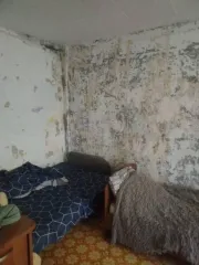 1/4 доля квартиры, назначение: жилое, площадь: 33 кв.м., номер, тип этажа: 2 Этаж, кадастровый номер: 38:26:040701:626, адрес (местоположение): Иркутская область, г. Ангарск, мкр. 34-й, д. 1, кв. 29