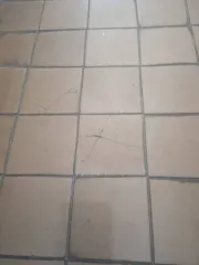 Доля в нежилом помещении 42,7 кв.м, Брянская обл. 1/2 доля в праве на нежилое помещение, площадь: 42,7 кв.м, адрес (местонахождение): Брянская обл, г. Новозыбков, ул. Некрасова, стр. 18, кадастровый номер: 32:31:0010320:267