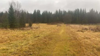 Земельный участок 2000 кв.м и хозпостройка 9 кв.м, п. Синегорский, Свердловская область. Земельный участок, площадью 2000 кв.м., с кадастровым номером 66:19:0501001:187, расположенный по адресу: обл. Свердловская, р-н Пригородный, п. Синегорский, ул. Мира, дом. 37; Хозяйственная постройка, площадью…