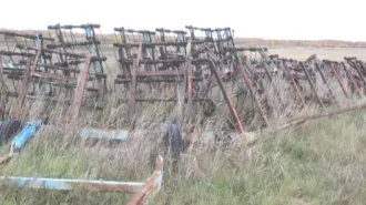 Культиватор БДТ красный