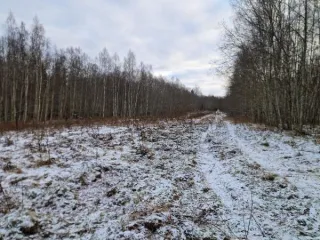 Земельный участок площадью 2718675 кв.м. Категория земель: земли сельскохозяйственного назначения. Кадастровый номер: 60:23:0090110:21. Местоположение: Псковская область, Струго-Красненский муниципальный округ, в районе д. Машутино. Вид разрешенного использования: для разведения и содержания…