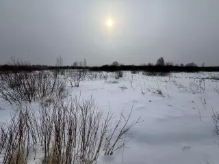 Земельный участок, кадастровый номер 72:17:2316007:54, Площадь: 981 +-55 кв.м. Категория земель: Земли сельскохозяйственного назначения. Виды разрешенного использования: для ведения садоводства и огородничества. Кадастровый паспорт имеется. 
По информации от председателя СНТ подъезд к участку…