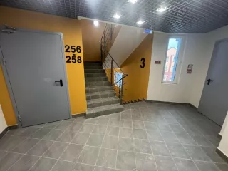Квартира, площадью 33,4 кв.м., кадастровый номер 77:22:0020330:2124 
Расположенная по адресу: Российская Федерация, г. Москва, вн.тер.г.поселение Краснопахорское, деревня Раево, улица Ирландская, дом 4, корпус 2, квартира 258 
Залог в пользу ПАО АКБ "МЕТАЛЛИНВЕСТБАНК" ИНН: 7709138570