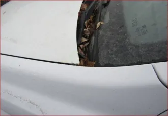 Opel Astra, 2010, 90 л.с., 205036 км, легковой автомобиль, марка: ОПЕЛЬ (Opel Astra), модель: АСТРА (Astra), VIN: XWF0AHL48A0007890, госномер: О602КМ774, 2010 года выпуска.