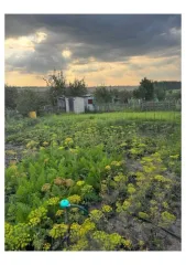 Земельный участок 400 кв.м, садоводство, Липецкая обл., площадь: 400кв.м., адрес (местонахождение): обл. Липецкая, р-н Данковский, г. Данков, с/т "Стротель", категория земель: Земли населенных пунктов, разрешенное использование: Для ведения садоводства, кадастровый номер: 48:03:0691901:155