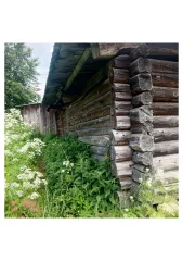 Жилой дом 35.7 кв.м и земельный участок 2500 кв.м в Пермском крае. Жилой дом, площадь 35.7 кв.м., назначение: Жилое, количество этажей: 1, адрес (местонахождение): Российская Федерация, край Пермский, м.о. Березовский, д Шульгино, ул Набережная, д 47, кадастровый (условный) номер…