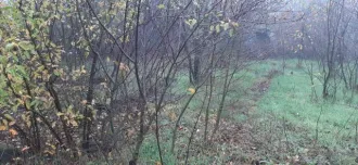 Земельный участок 520 кв.м для садоводства в Ростовской области, Неклиновский район, село Николаевка, СНТ «Колос», участок № 35. Кадастровый номер: 61:26:0513301:35. Площадь: 520 +/- 8 кв.м. Вид разрешенного использования: для ведения садоводства и огородничества. Право собственности…